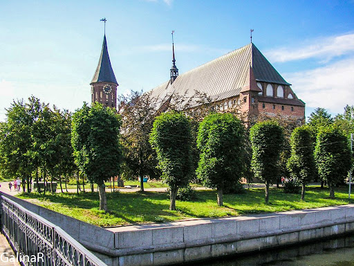 Калининград собор.jpg