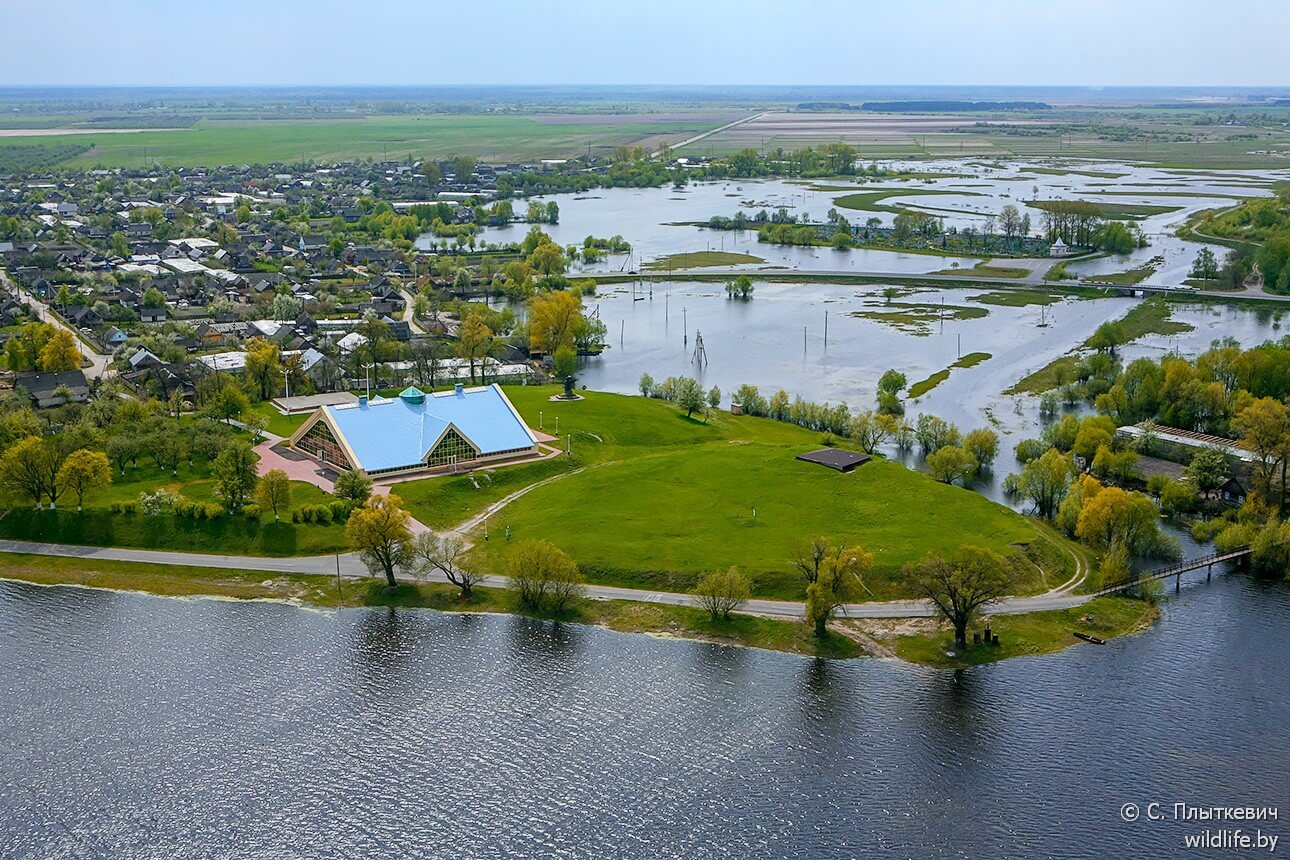 reka-pripyat-9 (2).jpg