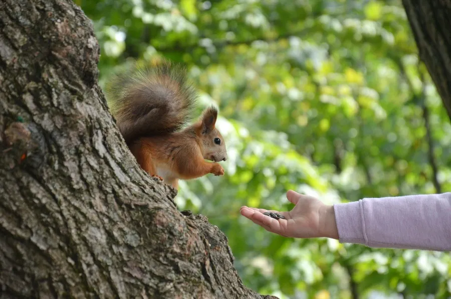 4fe41f6587819684b45dc0c99bf4c7bc (1).webp